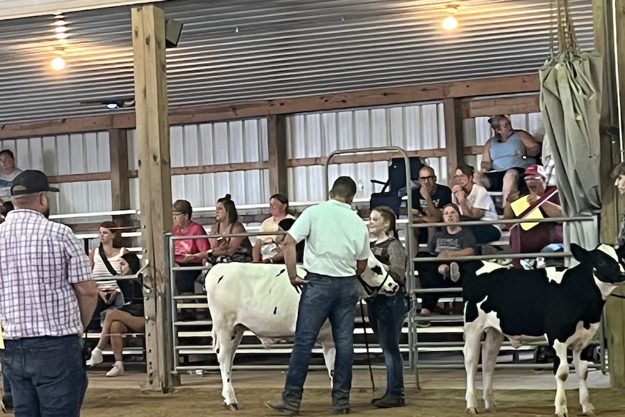 dairy feeder show