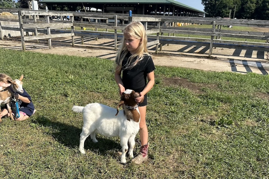 youth goat exhibitor